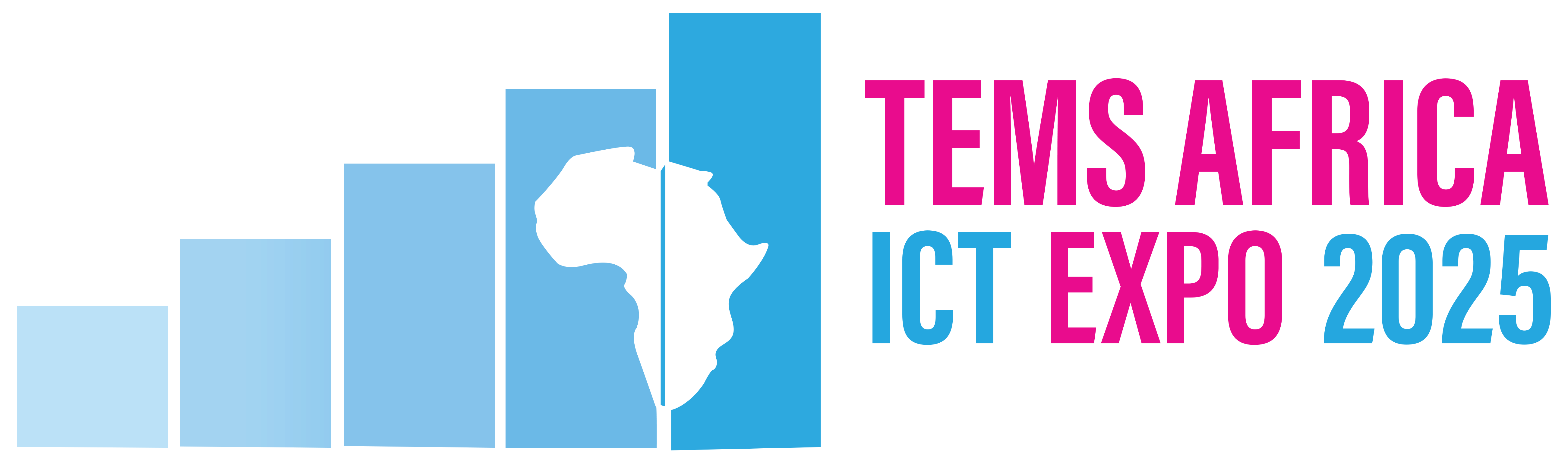 Tems Africa